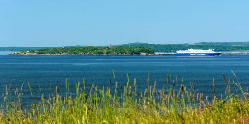 Saint John Walking Tour - Should you book the Saint John Walking Tour?