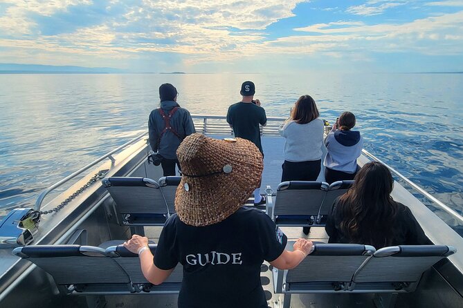 Salish Sea Whale Watching Tour in Campbell River - Why the $204.65 price may be worth it