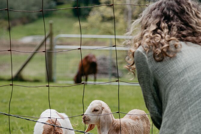 Salt Spring Island "Artisan Trail" Hop On Hop Off Tour! - Ganges Harbour and the Saturday market