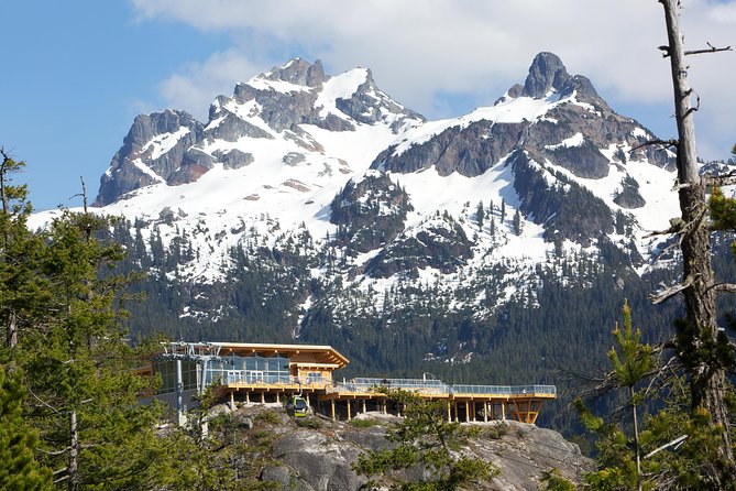 Sea to Sky Gondola Ticket - The Sky Pilot suspension bridge and summit trails