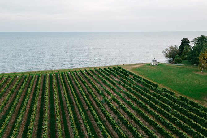 Seated Tasting Experience at Konzelmann Winery - A compact Niagara wine stop with room to choose