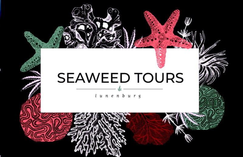 Seaweed Tours Lunenburg N.S Can UNESCO world heritage site. - Practical details that affect your day