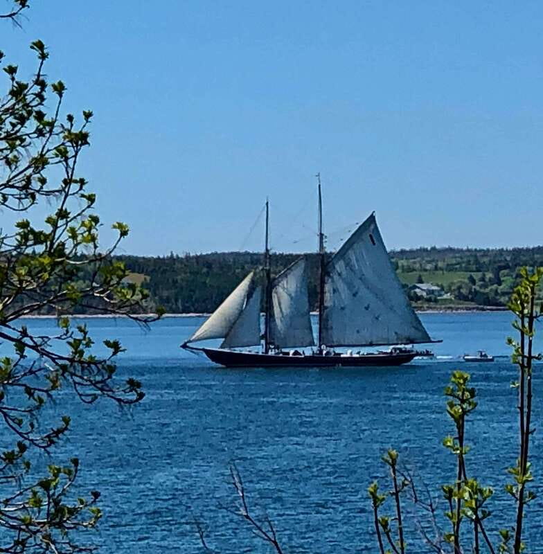 Seaweed Tours Lunenburg N.S Can UNESCO world heritage site. - What the two-hour itinerary really means