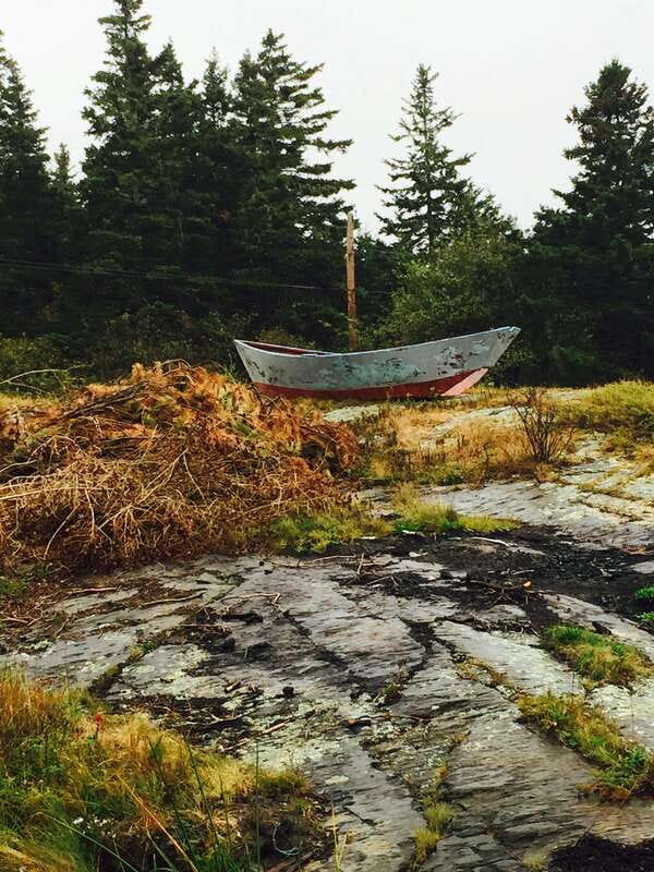 Seaweed Tours Lunenburg N.S Can UNESCO world heritage site. - The value of $42 per person