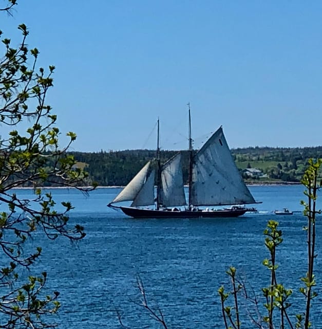 Seaweed Tours Lunenburg N.S Can UNESCO world heritage site. - Who will enjoy this Lunenburg tour most