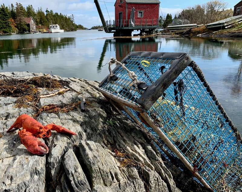 Seaweed Tours Lunenburg N.S Can UNESCO world heritage site. - Seeing Lunenburg beyond the postcard view