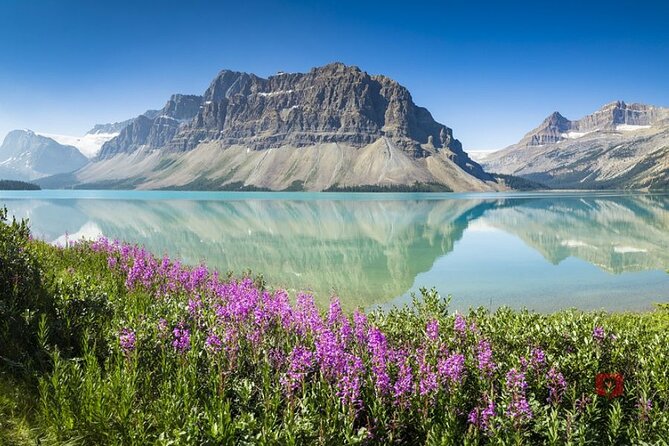 Self-Guided Audio Driving Tour in Icefields Parkway - Parker Ridge and the Saskatchewan Glacier