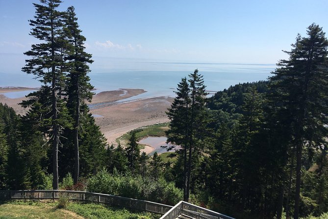 Shore Tours - Why this shore excursion works well in Saint John