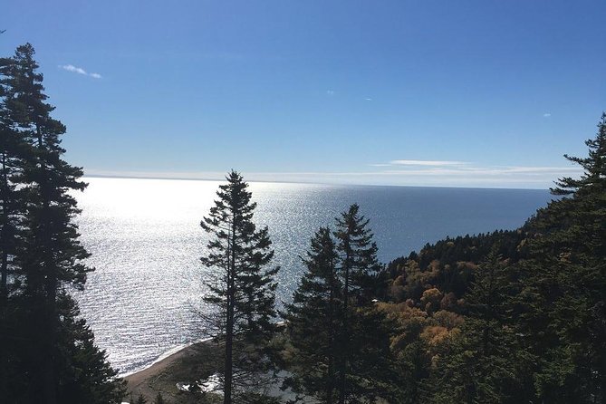 Shore Tours - Four hours along the Bay of Fundy coast