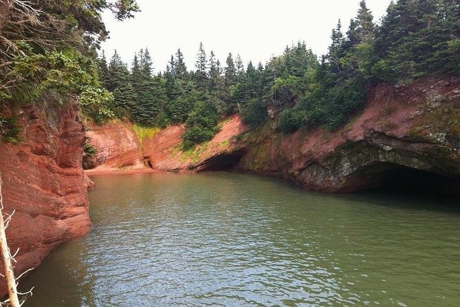 Shore Tours - What the $750 group price really means
