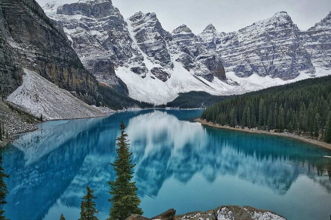 Shuttle from Banff or Canmore to Moraine Lake and Lake Louise - Lake Louise: an hour for water and photographs