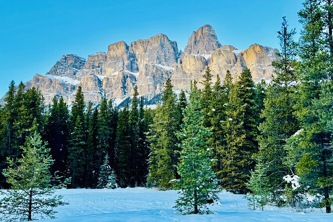 ShuttleBus 2way Banff to Lake Louise (1Hr) and Moraine Lake (1Hr) - Guides, commentary, and the small-group feel