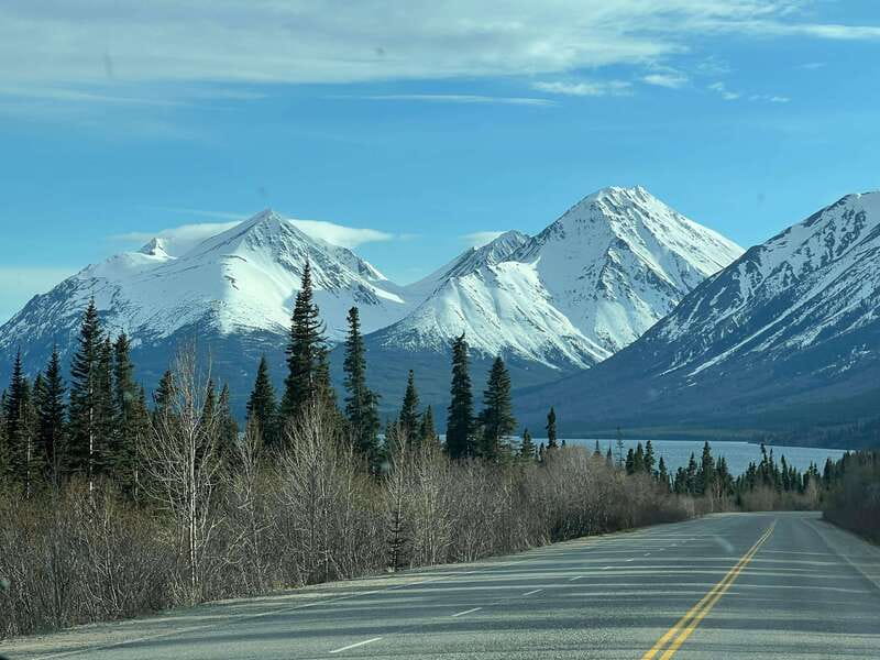 Skagway: Yukon Dog Mushing & Sightseeing Tour - Key points at a glance