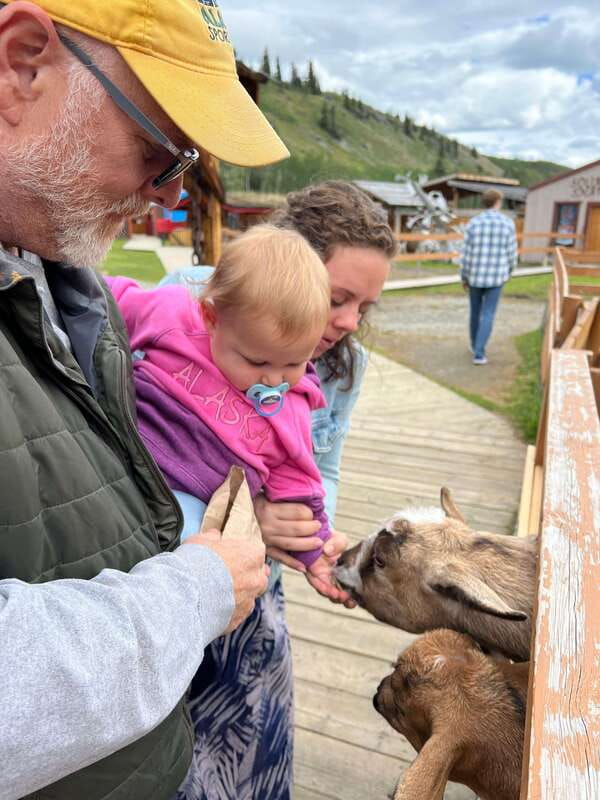 Skagway: Yukon Dog Mushing & Sightseeing Tour - From Skagway’s Broadway to the Yukon border