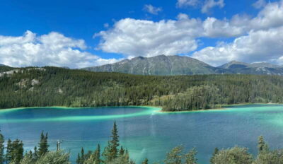 Skagway: Yukon Dog Mushing & Sightseeing Tour