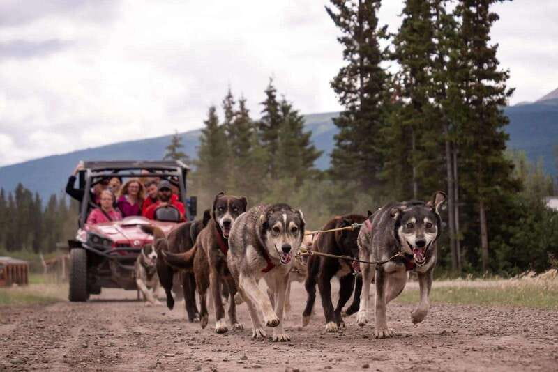Skagway: Yukon Dog Mushing & Sightseeing Tour - Emerald Lake and the Carcross Desert