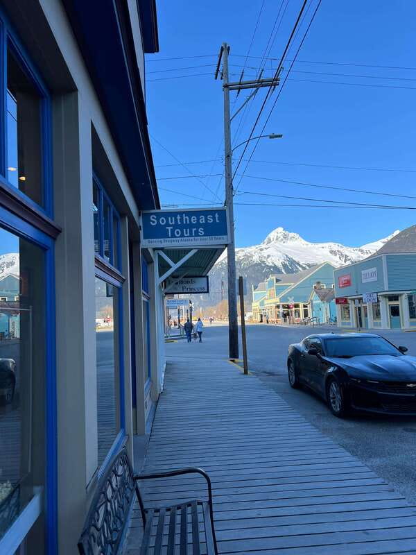 Skagway: Yukon Dog Mushing & Sightseeing Tour - Is $208 a fair price?