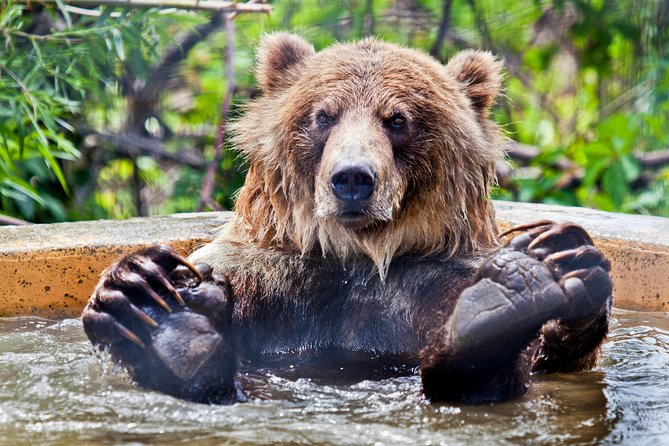 Skip the Line: Kamloops BC Wildlife Park Admission Ticket - Starting at Guest Services and the Discovery Centre