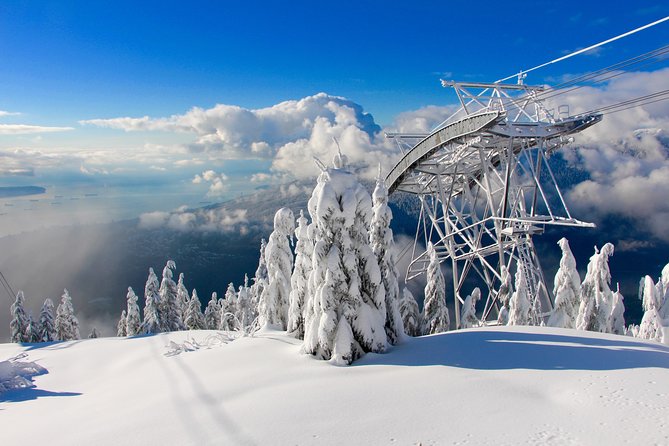 Small Group Tour: Capilano Suspension Bridge and Grouse Mountain from Vancouver - Why this tour works for a first Vancouver visit