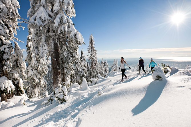 Small Group Tour: Capilano Suspension Bridge and Grouse Mountain from Vancouver - Grouse Mountain: bears, views, and the Skyride