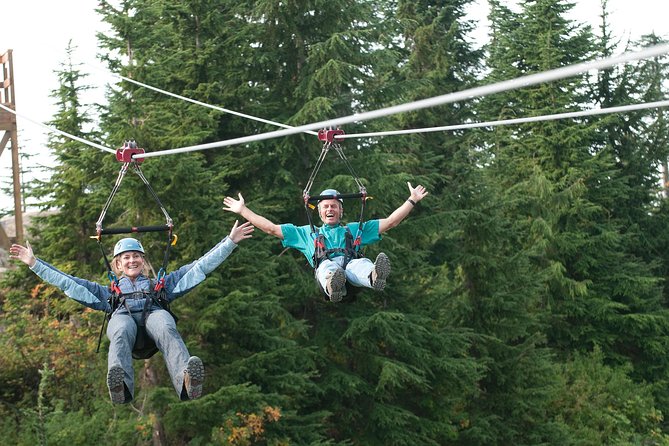 Small Group Tour: Capilano Suspension Bridge and Grouse Mountain from Vancouver - Who should book this half-day outing?