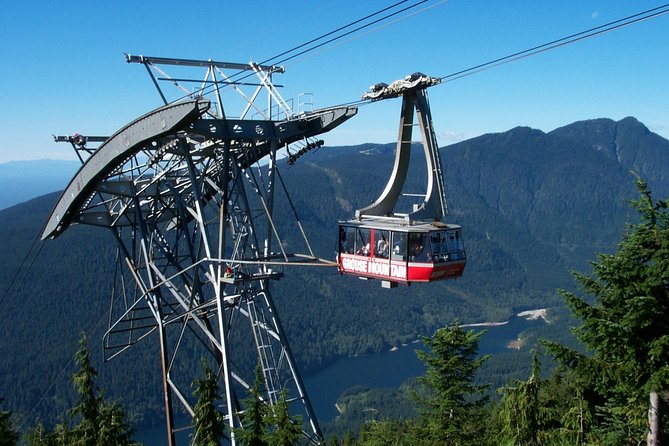 Small Group Tour: Capilano Suspension Bridge and Grouse Mountain from Vancouver - From Stanley Park to Lion’s Gate Bridge
