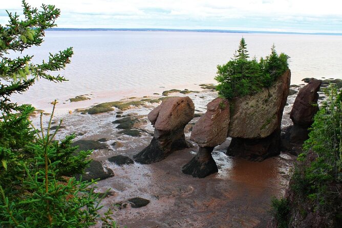 Small Group Tour - Peggy's Cove, Lunenburg, the Annapolis Valley - Peggy’s Cove: granite, ocean, and the famous lighthouse