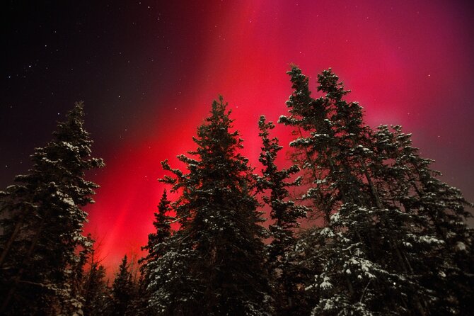 Small Group Yukon Aurora Viewing - Key points to know before booking