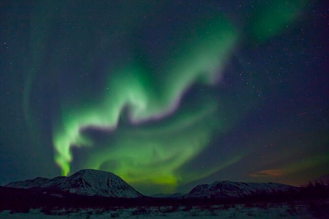 Small Group Yukon Aurora Viewing - Leaving Whitehorse around 10:00 pm