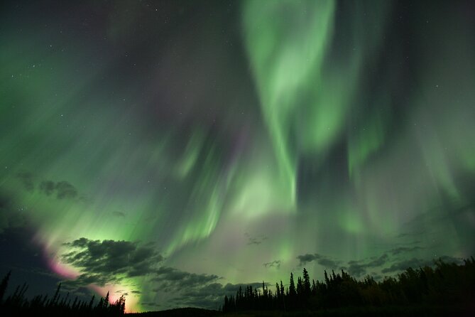 Small Group Yukon Aurora Viewing - Hot drinks and small comforts during the wait