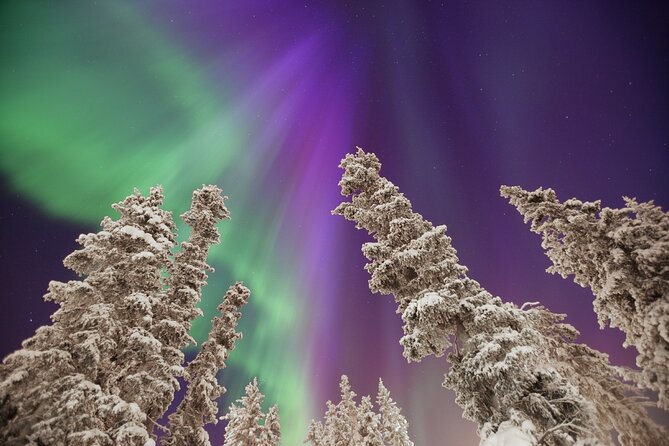 Small Group Yukon Aurora Viewing - Waiting beside a frozen lake