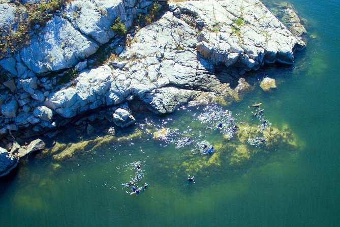 Snorkel, Kayak, and Seal Adventure: Vancouver Boat Tour - Cruising north from Horseshoe Bay