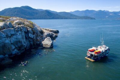 Snorkel, Kayak, and Seal Adventure: Vancouver Boat Tour
