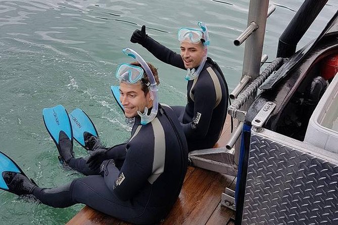 Snorkel, Kayak, and Seal Adventure: Vancouver Boat Tour - Kayaking around the rocks