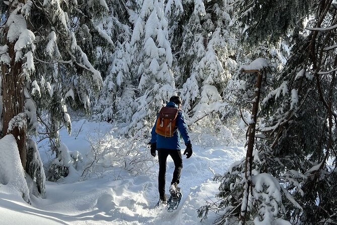 Snowshoeing At The Top Of The Sea To Sky Gondola - Snowshoe trails through the winter forest