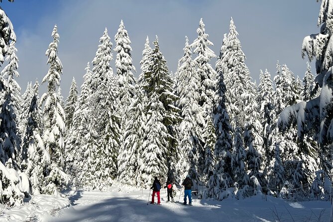 Snowshoeing At The Top Of The Sea To Sky Gondola - Views worth the climb