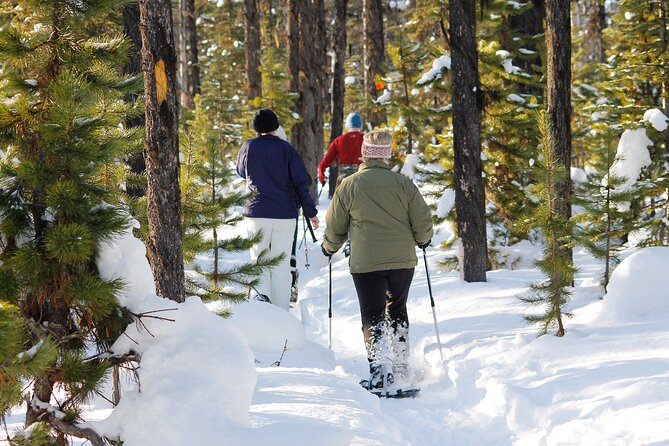 Snowshoeing At The Top Of The Sea To Sky Gondola - How the six hours usually feel
