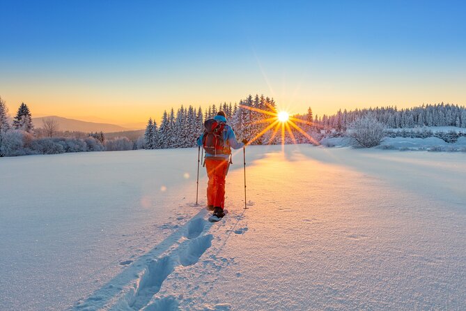 Snowshoeing At The Top Of The Sea To Sky Gondola - Riding the gondola to Summit Lodge