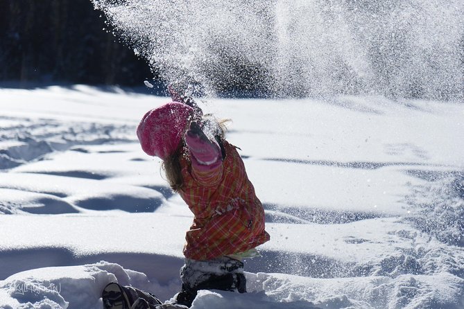 Snowshoeing in Kananaskis - Key points at a glance
