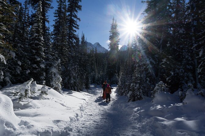 Snowshoeing in Kananaskis - Hot drinks, cookies, and the value of the price