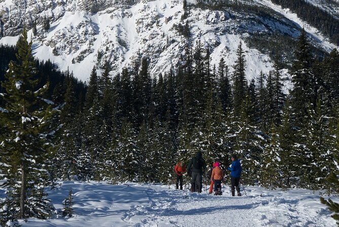 Snowshoeing in Kananaskis - The main drawback: strict cancellation terms