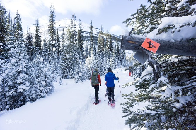 Snowshoeing in Kananaskis - What happens at Kananaskis Outfitters