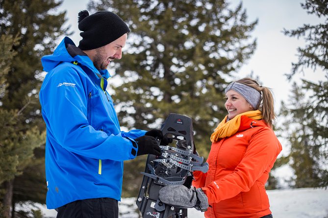 Snowshoeing Tour to the Paint Pots - What the $81.98 price really buys you