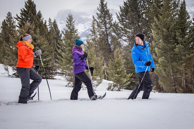 Snowshoeing Tour to the Paint Pots - Timing, clothing, and practical details