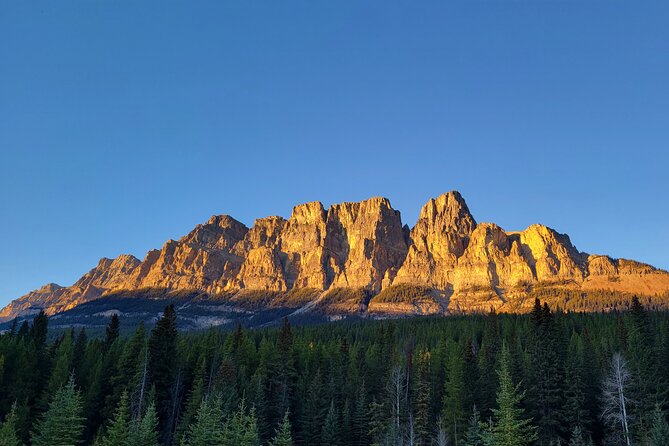 Spectacular Banff Day - Gondola Included - Who should book this experience?