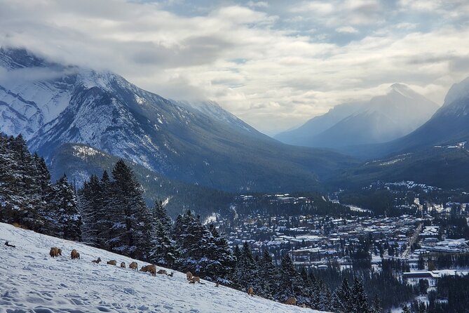 Spectacular Banff Day - Gondola Included - Bow Falls gives you a quick Banff landmark