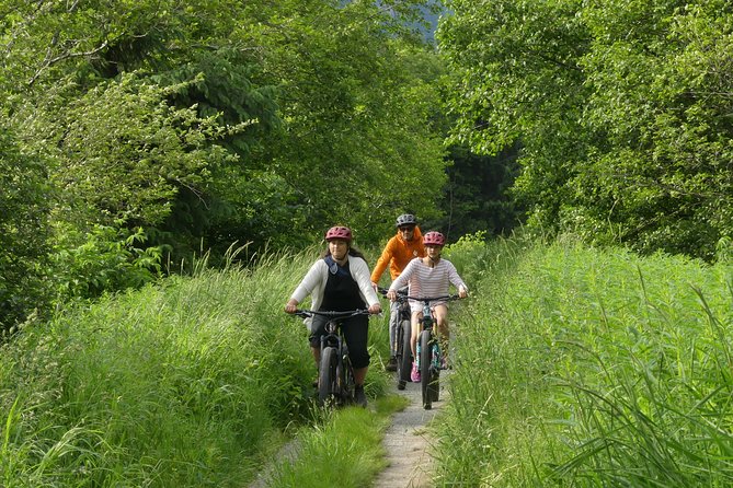 Squamish Discovery Eco-tour - The Squamish Estuary and its changing water