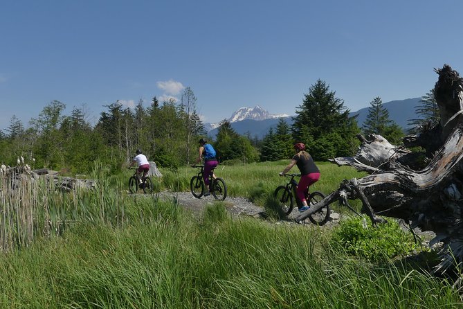 Squamish Discovery Eco-tour - Starting at Mamquam Road