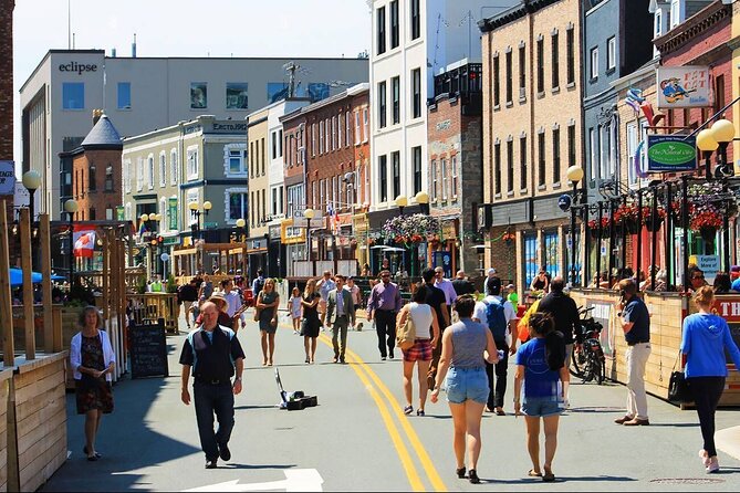 St. John's Downtown Walking Tour - Why this St. John’s walk works as a first introduction