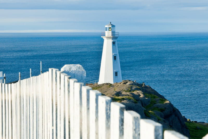 St John's Premium Driving Tour with Signal Hill & Cape Spear - Guides, group size, and the feel of the ride